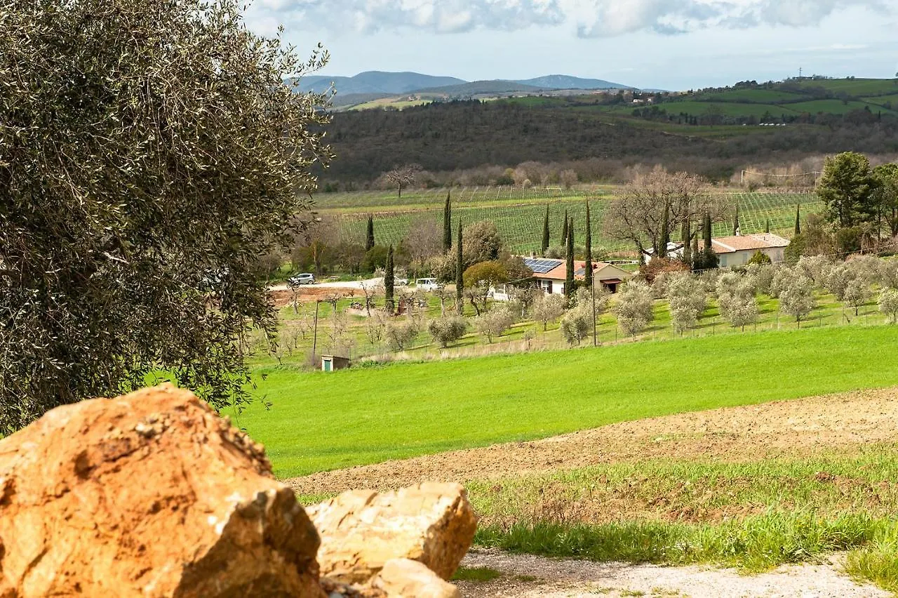 Frühstückspension Artemisia Negli Ulivi B&B Magliano in Toscana