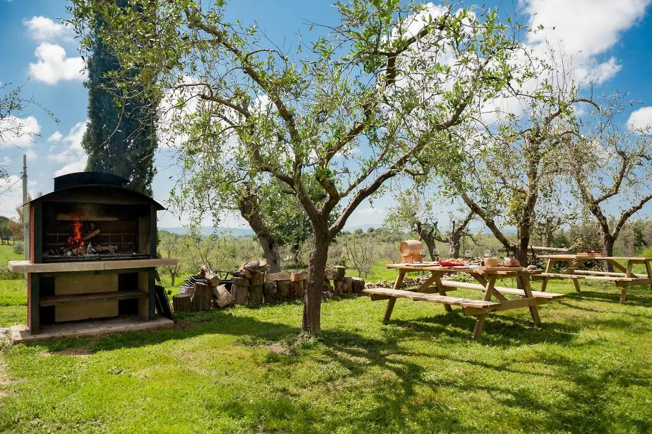 Frühstückspension Artemisia Negli Ulivi B&B Magliano in Toscana