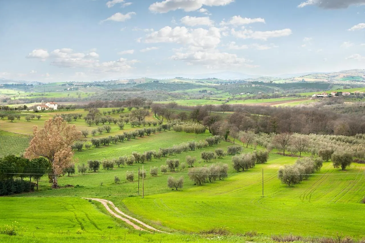 Artemisia Negli Ulivi B&B Magliano in Toscana Frühstückspension